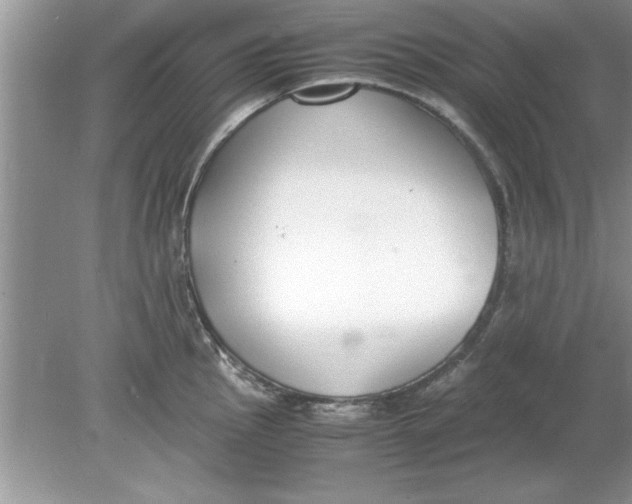 X0000078881145200612042017