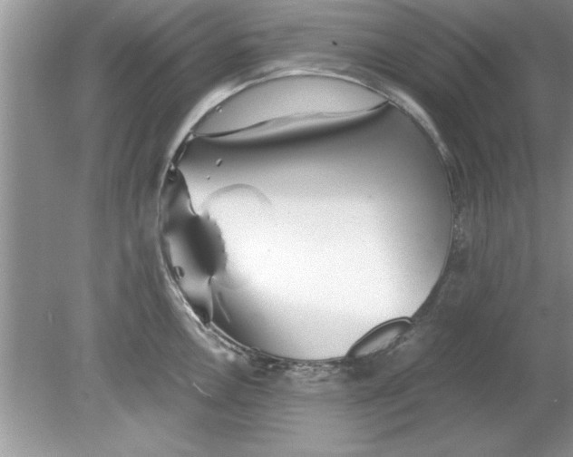 X0000078881146200612042017