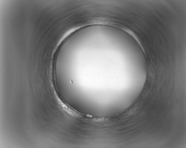 X0000078881147200612042017