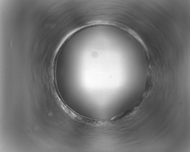 X0000078881148200612042017