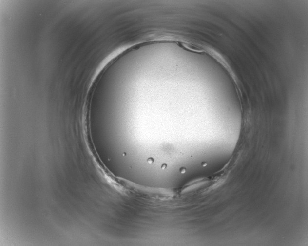 X0000078881149200612042017