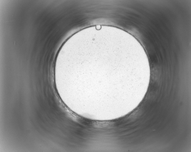 X0000078881150200612042017