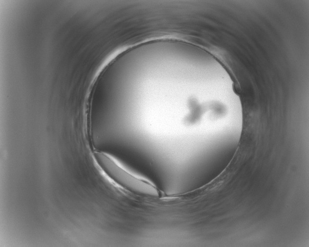 X0000078881151200612042017