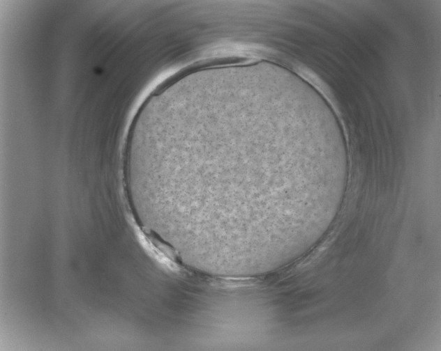 X0000078881152200612042017