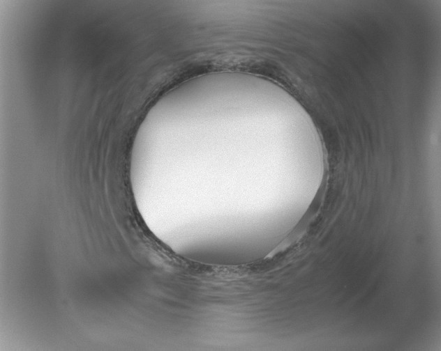 X0000078881153200612042017