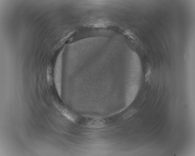 X0000078881156200612042017