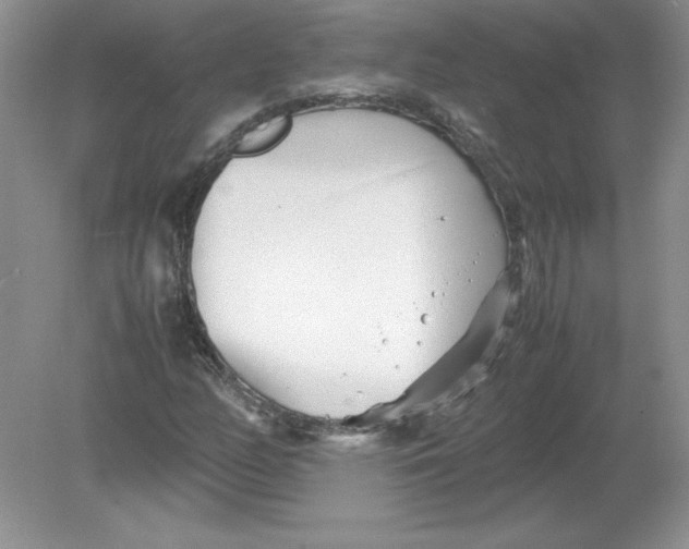 X0000078881158200612042017