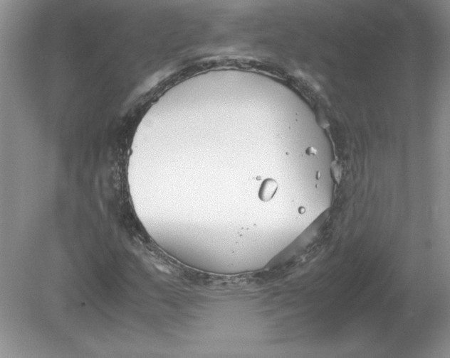 X0000078881159200612042017