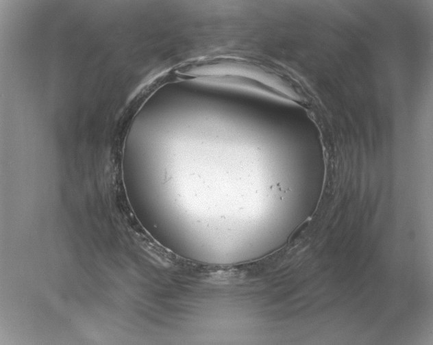 X0000078881160200612042017