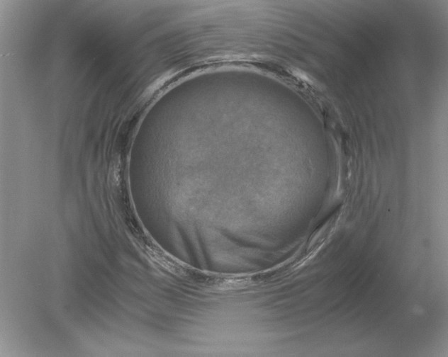 X0000078881161200612042017