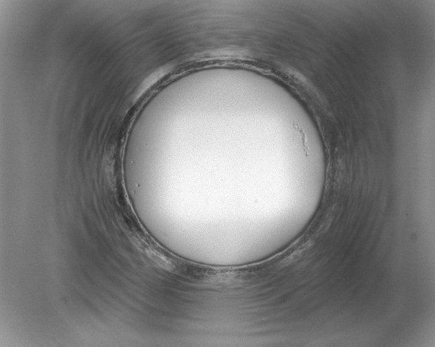 X0000078881162200612042016