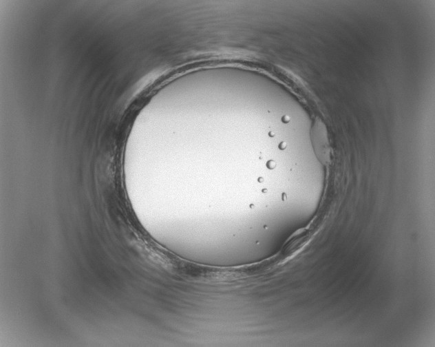 X0000078881163200612042016