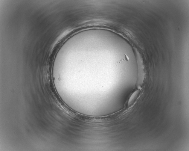 X0000078881164200612042016