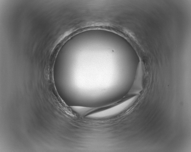 X0000078881165200612042016