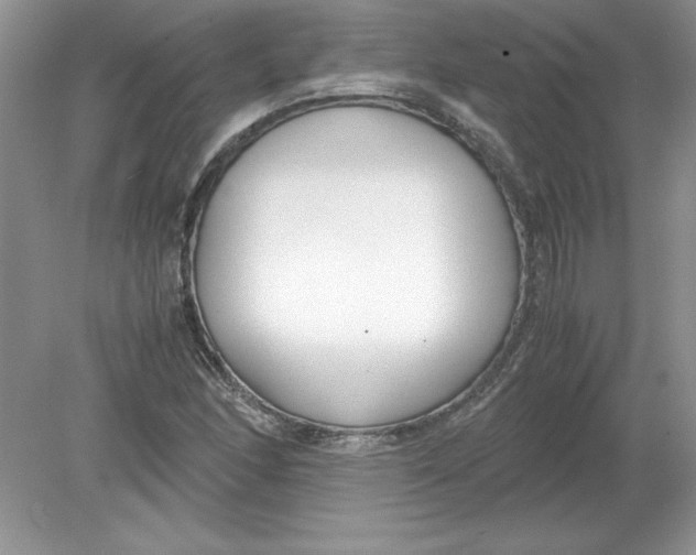 X0000078881166200612042016