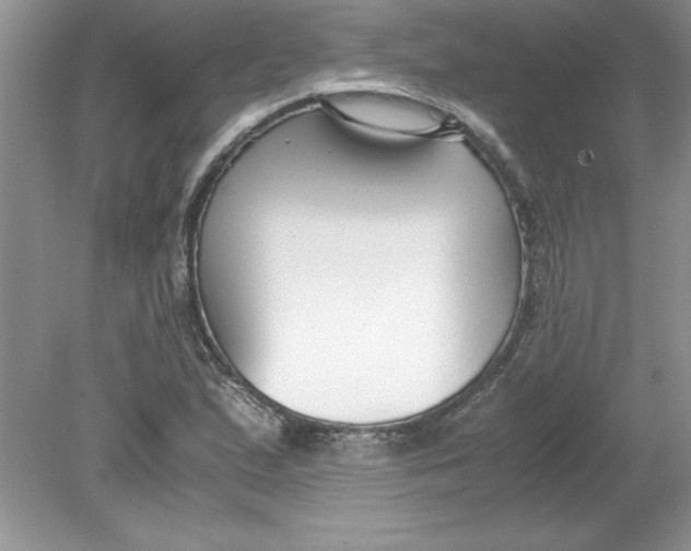 X0000078881167200612042016