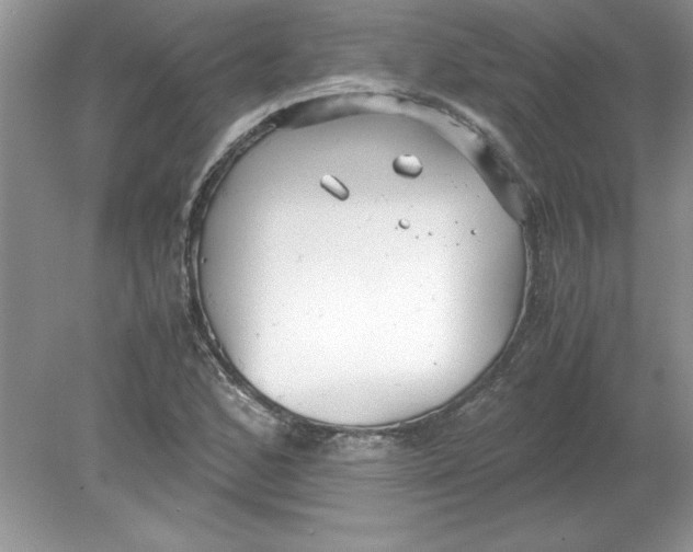 X0000078881168200612042016