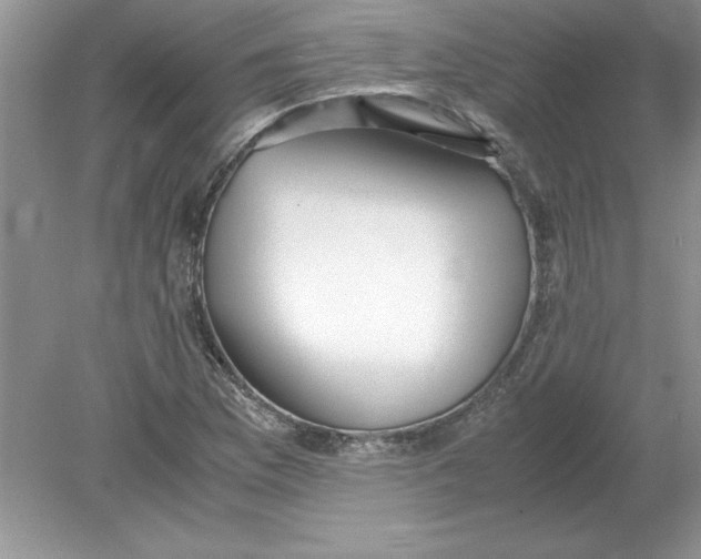 X0000078881169200612042016