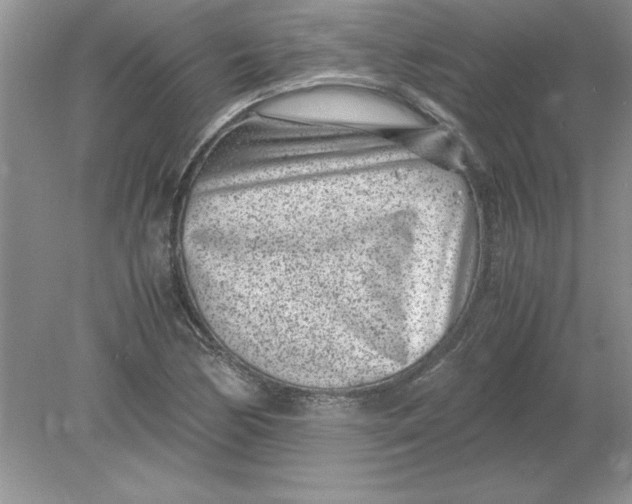 X0000078881170200612042016