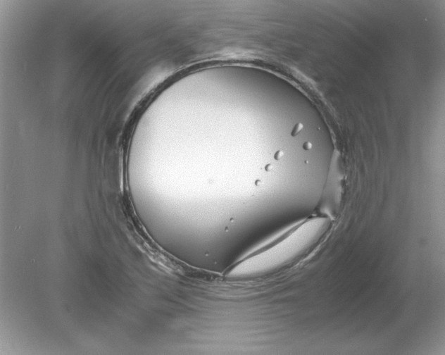 X0000078881171200612042016