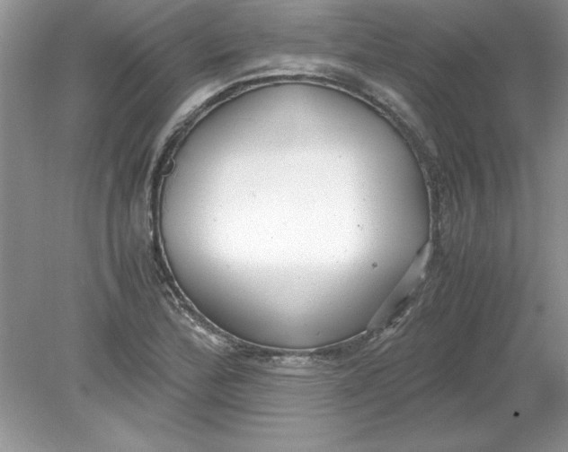 X0000078881172200612042016