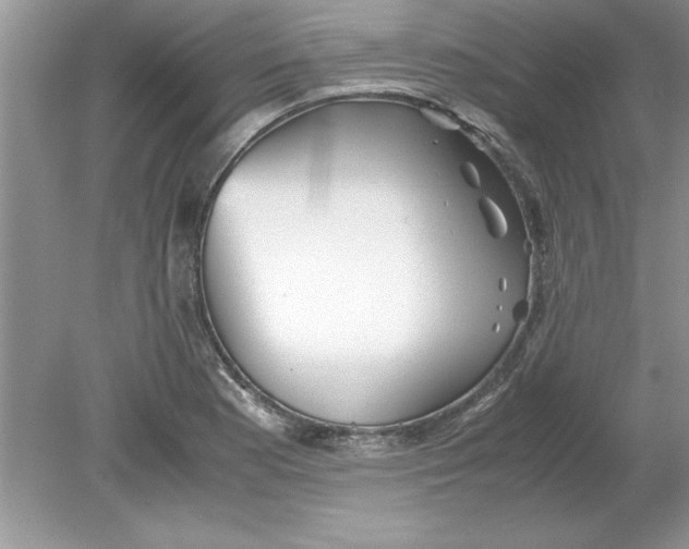 X0000078881177200612042016