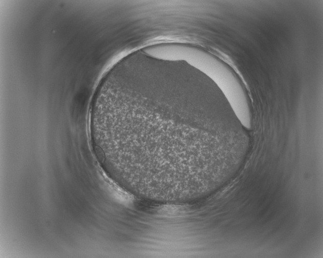 X0000078881179200612042016