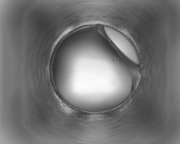 X0000078881181200612042016