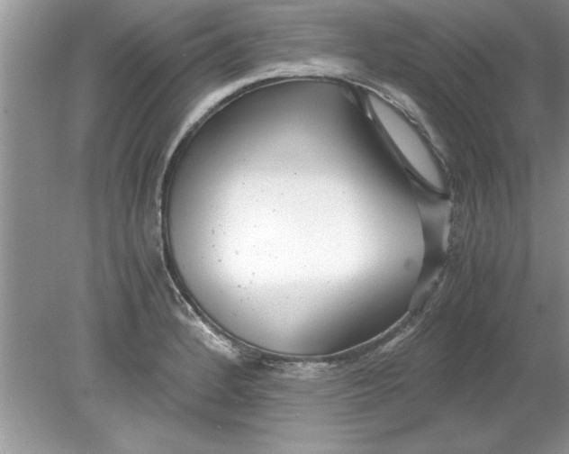 X0000078881184200612042016