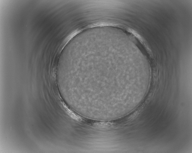 X0000078881185200612042016