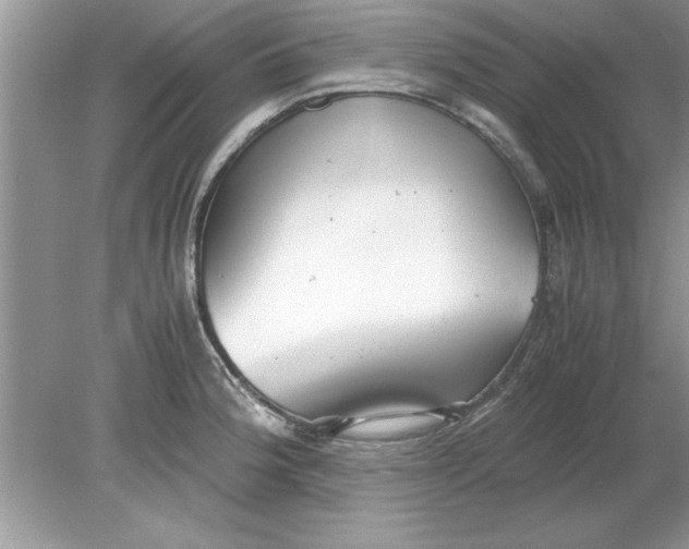 X0000078881188200612042016