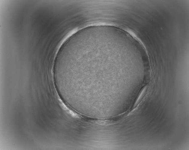 X0000078881189200612042016