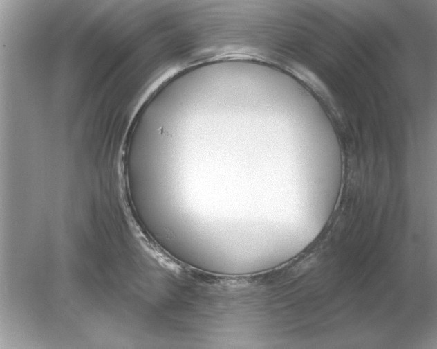 X0000078881190200612042016