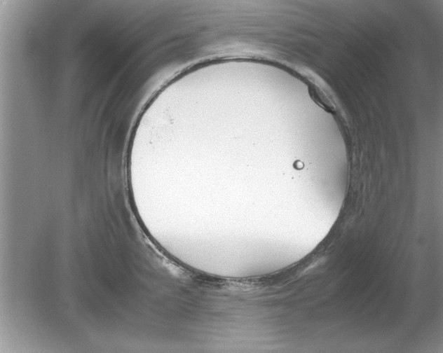 X0000078881191200612042016