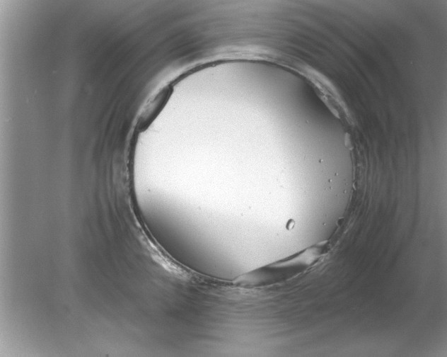 X0000078881192200612042016