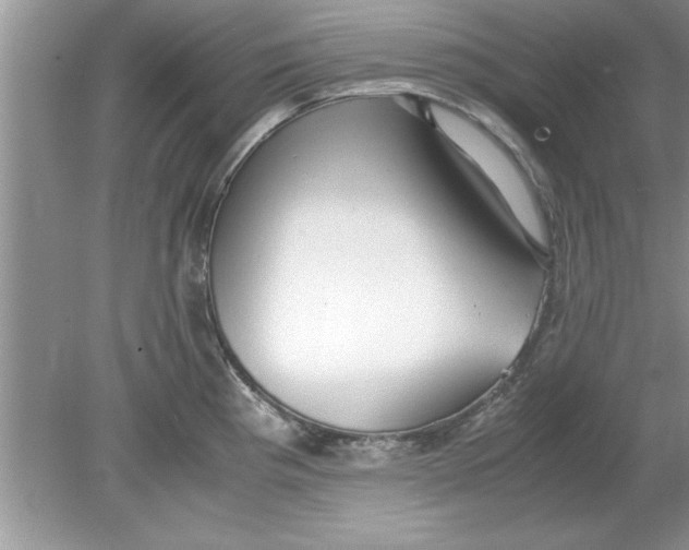 X0000078881193200612042016