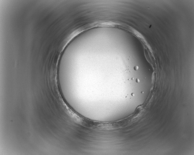 X0000078881194200612042016