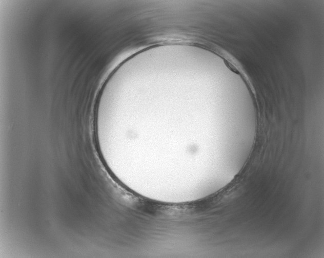 X0000078881195200612042016