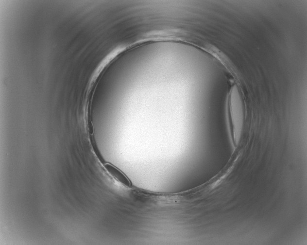 X0000078881196200612042016