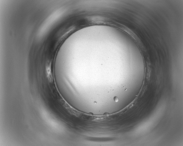 X0000078881198200612042016