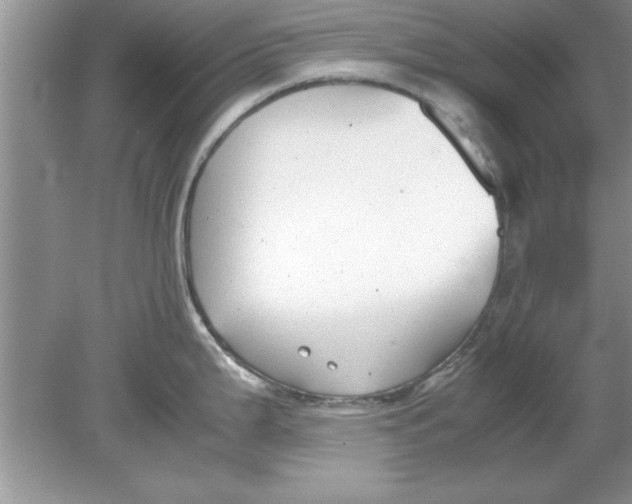 X0000078881199200612042016