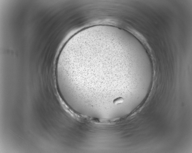 X0000078881200200612042016