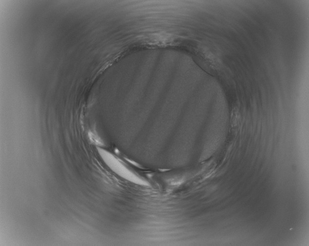 X0000078881202200612042015