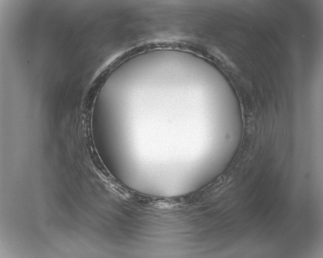 X0000078881208200612042015