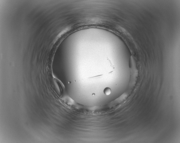 X0000078881210200612042015