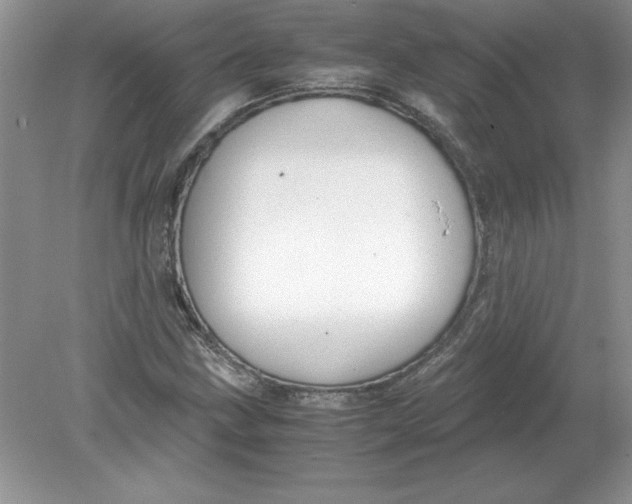 X0000078881211200612042015