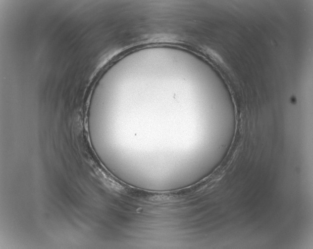 X0000078881212200612042015