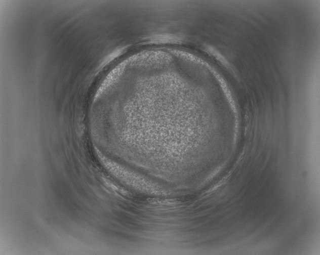 X0000078881213200612042015