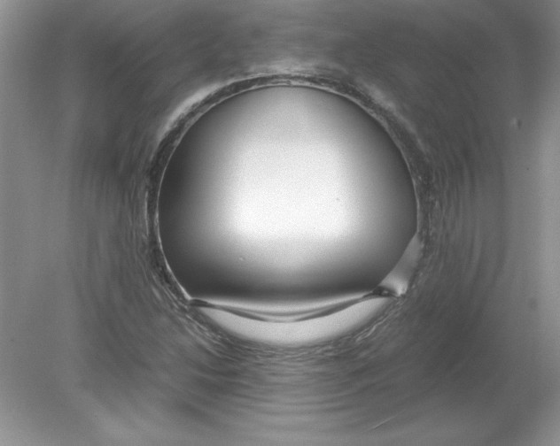 X0000078881214200612042015