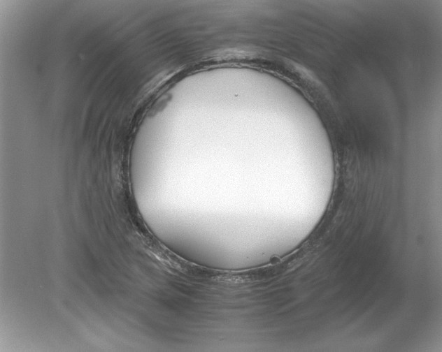 X0000078881217200612042015